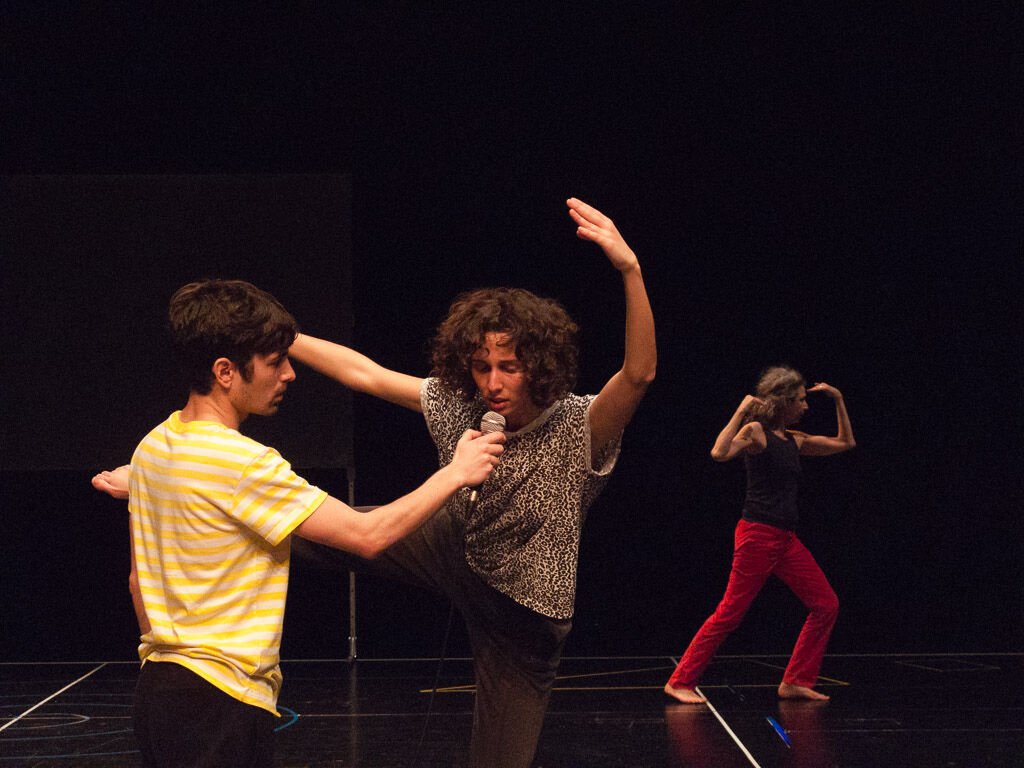 Continued Project performance images